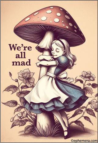 We're All Mad Alice Magnet