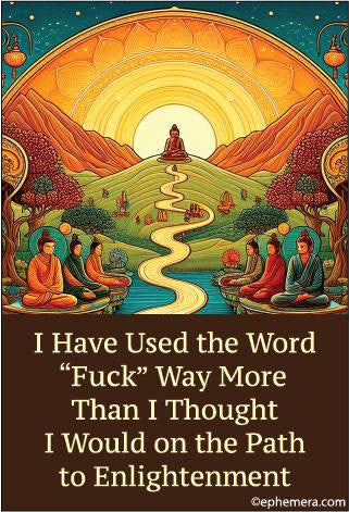 I Have Used The Word "Fuck" Way More Than I Thought I Would On The Path to Enlightenment