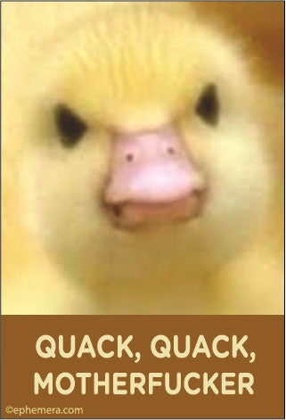 Quack Quack Motherfucker Magnet