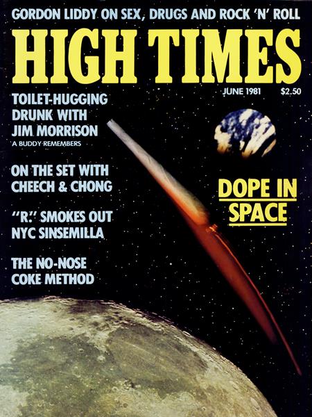 High Times Magazine - 1981 Issues