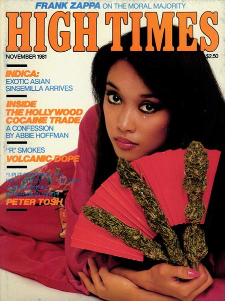 High Times Magazine - 1981 Issues
