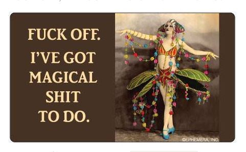 Fuck Off, I've Got Magical Shirt To Do Sticker 1109