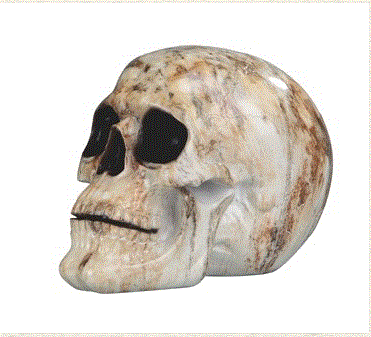 GSC - Beige Marble-like Skull 44149