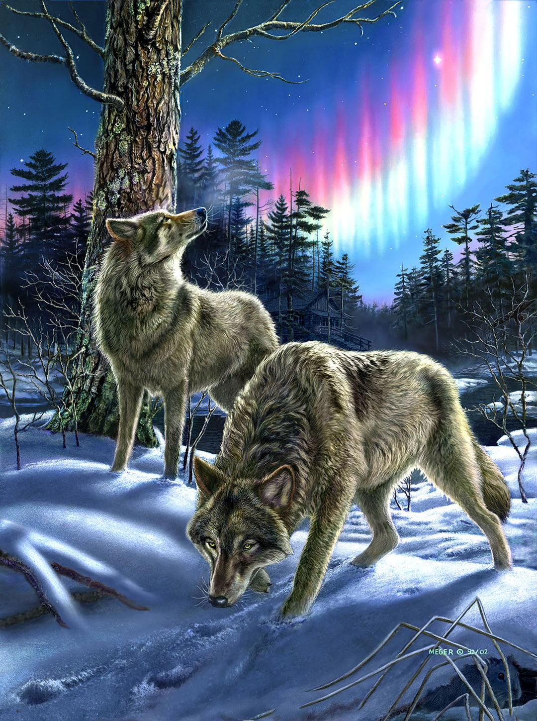 Wolves and Lights 1000 Piece Jigsaw Puzzle