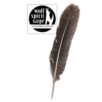 Wolf Spirit Sage Smudging Feather 32101