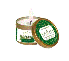 Aroma - Soy Vegepure Small Tin - Evergreen