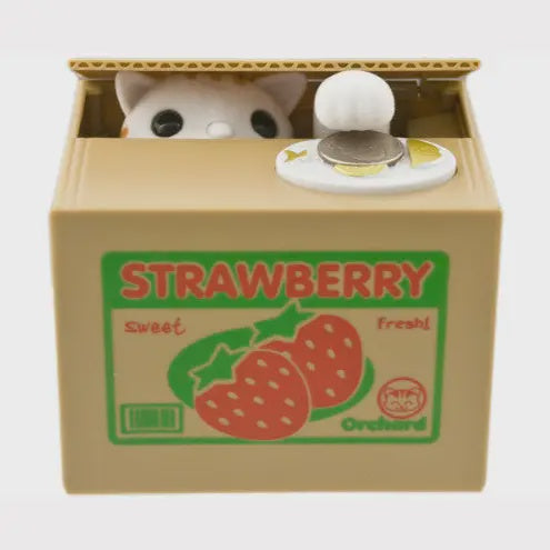 Cat Hiding in Box Coin Bank DCB1-CT