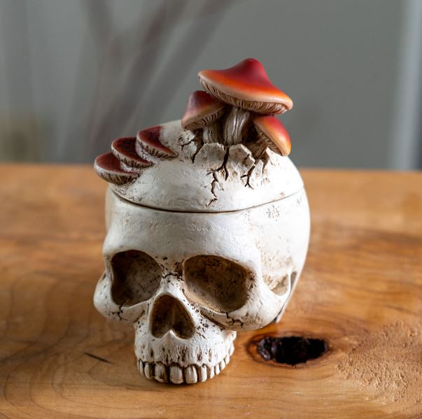 Mushrooms Skull Stash Jar 16204
