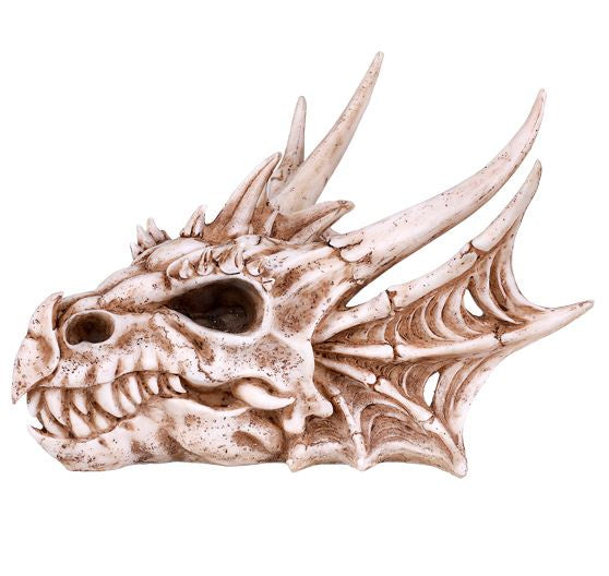 Dragon Skull Head Statue 13341