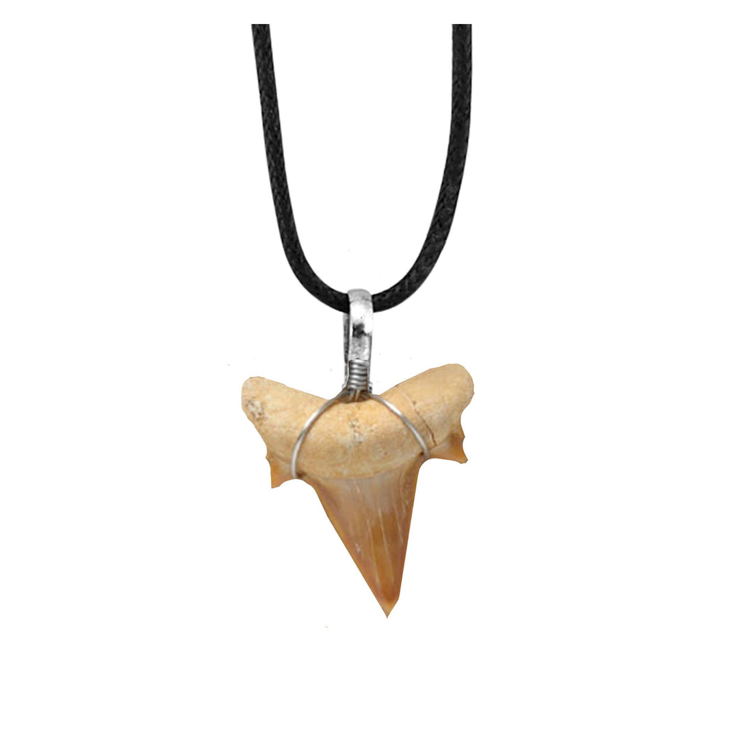 Shark Tooth Pendant w/Black Cord 8401