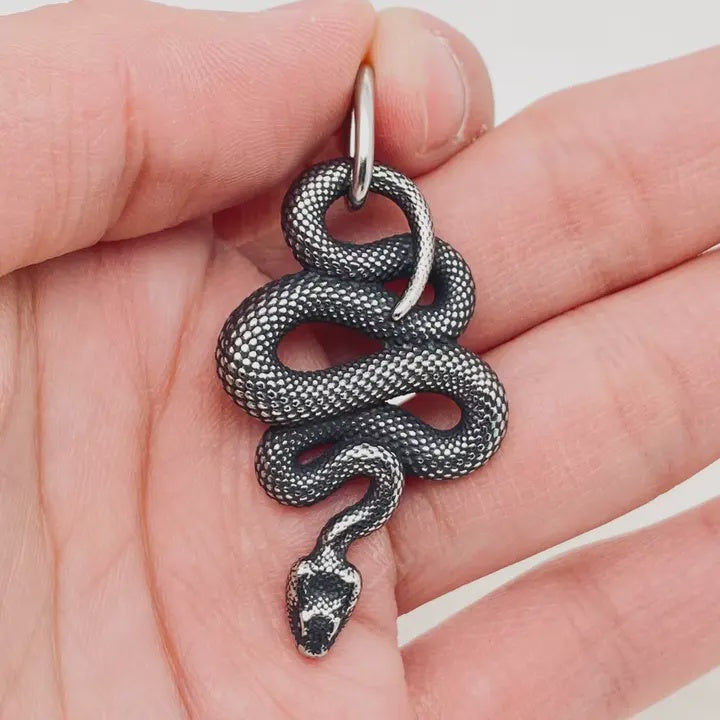 Snake Charm Titanium/Stainless Steel Necklace