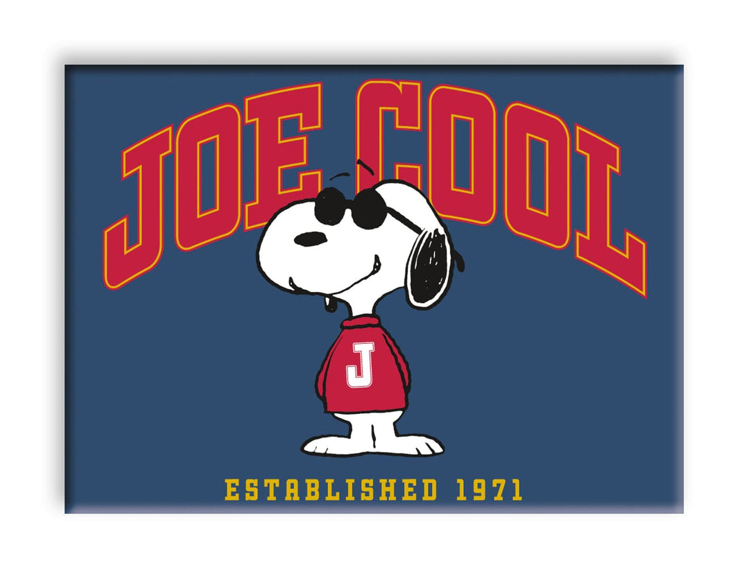 NMR - Peanuts Joe Cool Est 1971 Flat Magnet