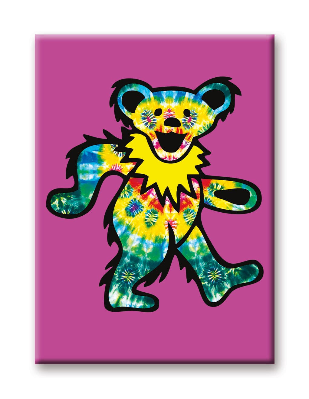 NMR - Grateful Dead Rainbow Bear Flat Magnet