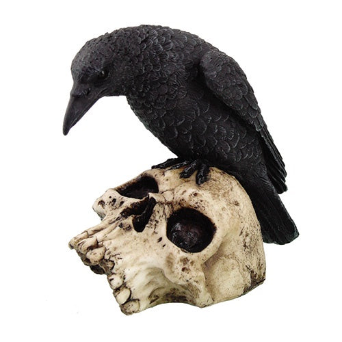 Raven on Skull Statue 9786