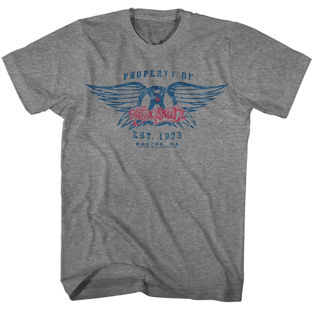 Aerosmith Est. 1973 T-Shirt