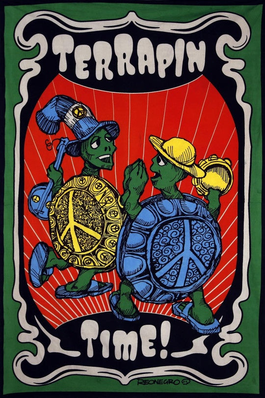 Terrapin Time Mini Tapestry 30x45 - Artwork by Tony Reonegro