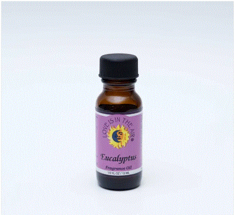 Love is in The Air Fragrance Oil - Eucalyptus