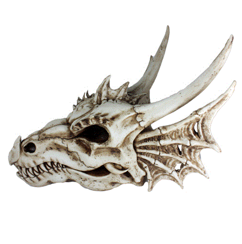 Pacific - Large Dragon Skull Statue 11332