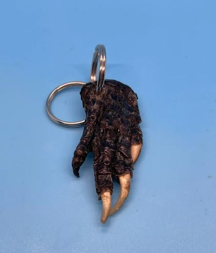 Real Taxidermized Alligator Part Keychain