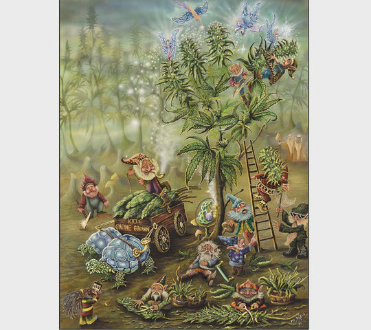Gnome Grown by Mike DuBois - Print