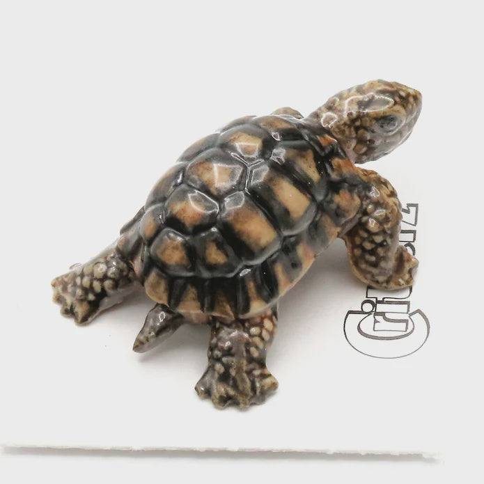 Tortoise - Desert Tortoise "Joshua" - miniature porcelain figurine