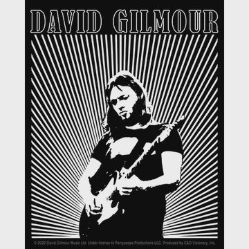 David Gilmour Lines Logo Sticker