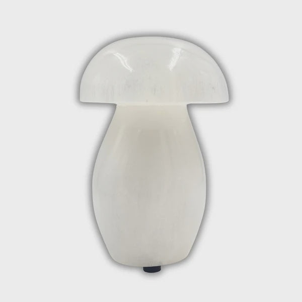 Mushroom Selenite Lamp