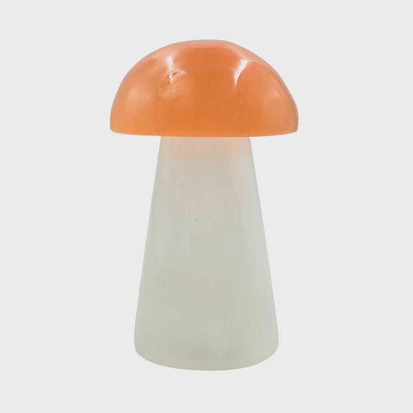 Pink Cap Selenite Mushroom Lamp