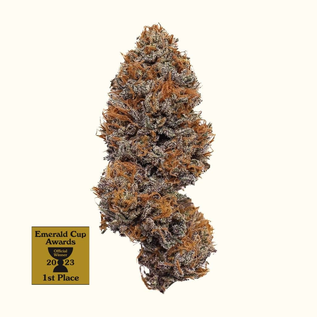Stoney Branch - Godfather OG CBD Flower