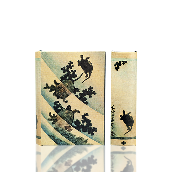 Hokusai's Swimming Turtles Book Box