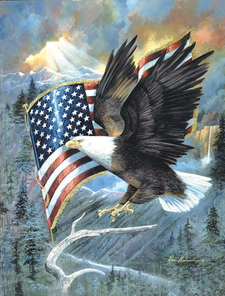 American Eagle 500 Piece Jigsaw Puzzle