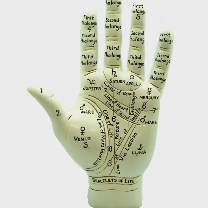 Fantasy Gifts - Big Palmistry Hand