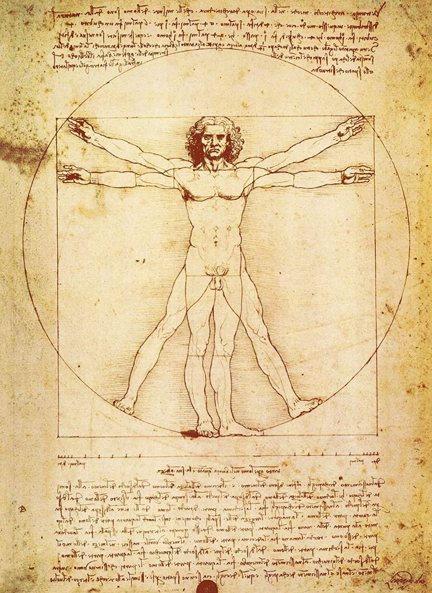 Da Vinci Vitruvian Man Poster PE