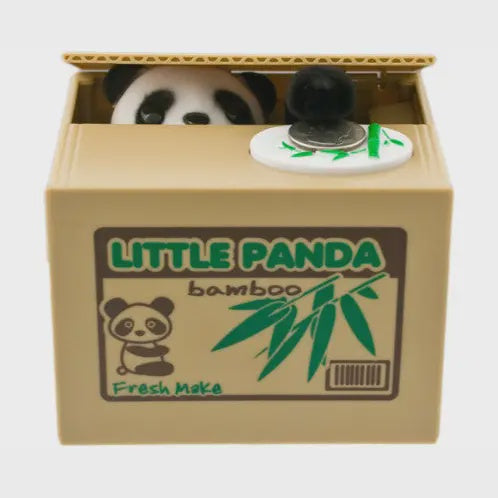 Panda Hiding in Box Coin Bank DCB1-PD
