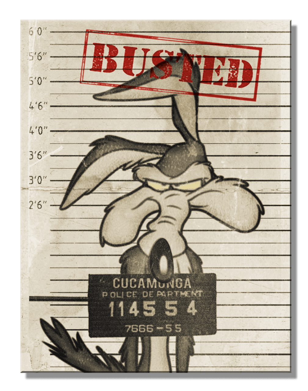Looney Tunes Bustedl 8.25" x 10.75"