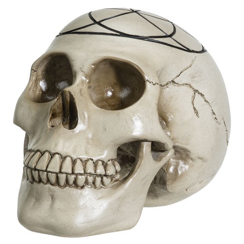 Sacred Geometry Skull Statue - Seed of Life 14126