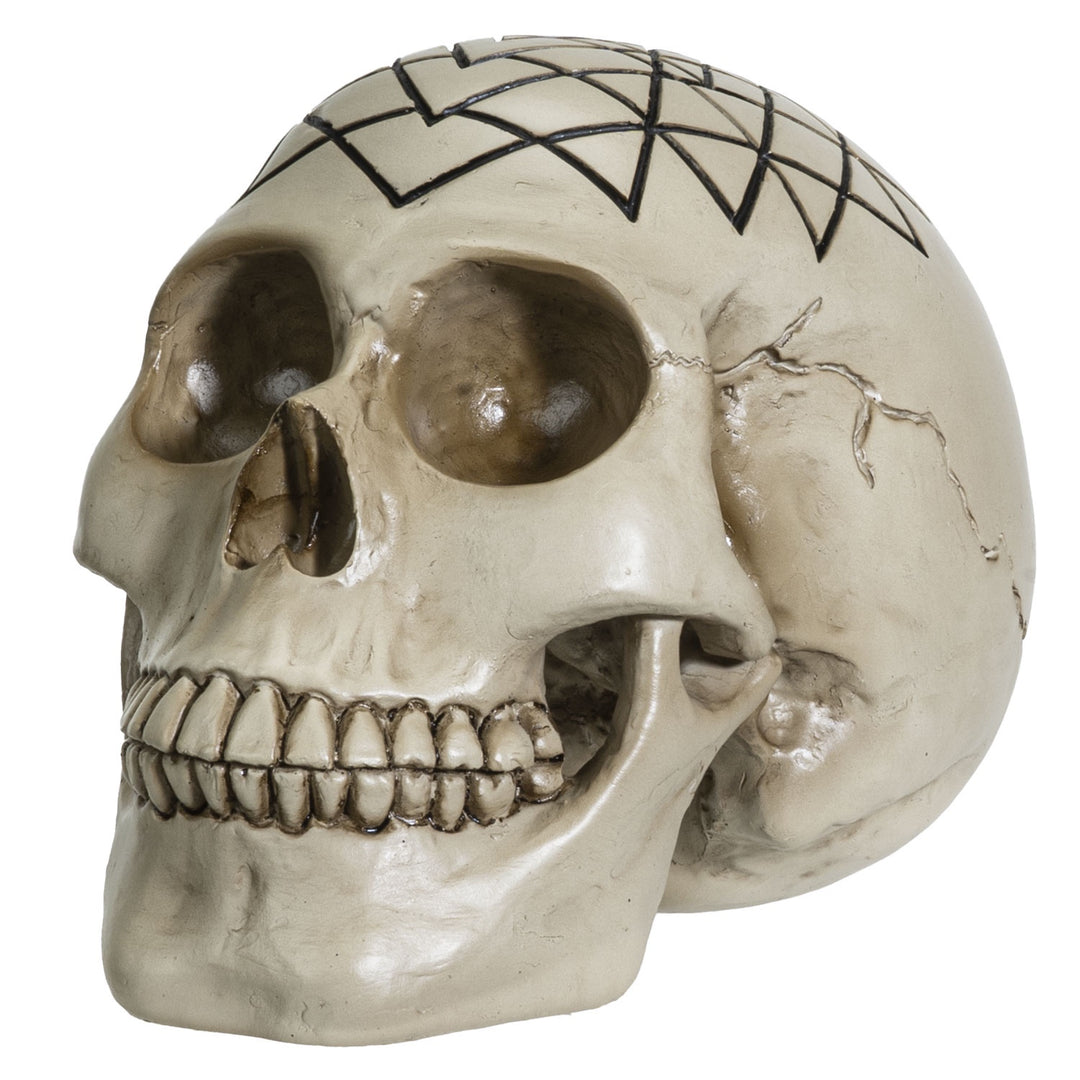 Sacred Geometry Skull Statue - Yantra 14127