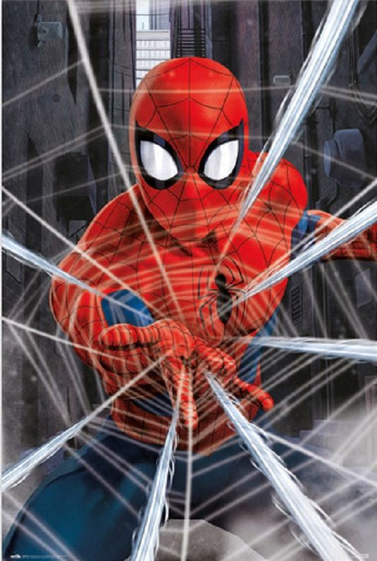 Spider Man Gotcha Poster
