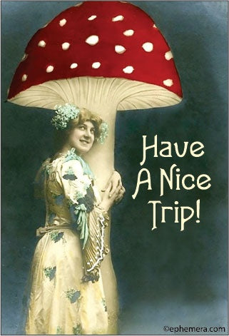 Have A Nice Trip! Magnet
