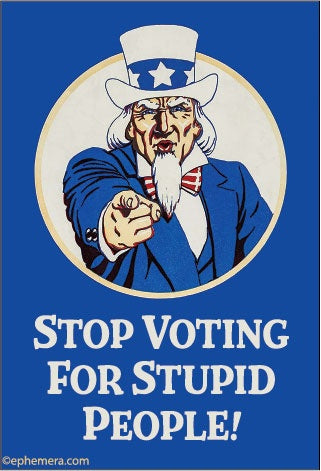 Stop Voting For Stupid People! Magnet