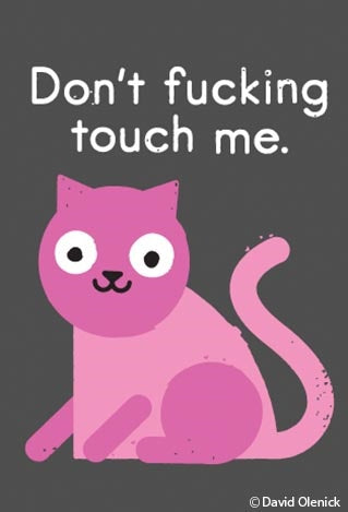 Don't Fucking Touch Me (Cat) Magnet