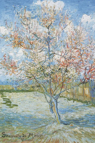 Van Gogh Flowering Peach Trees Poster