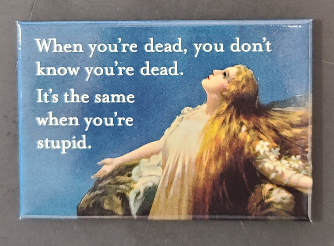 When you're dead, you don't know you're dead. It's the same when you're stupid - Magnet