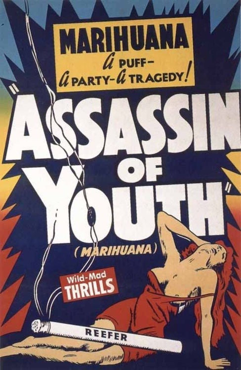 Assassin of Youth Fabric Poster