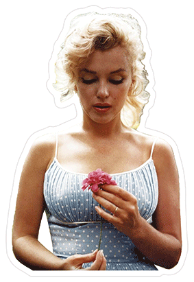 3D Sticker - Marilyn Monroe Flower