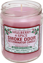 Mulberry & Spice Smoke Odor Candle