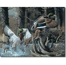 Duck Unlimited Tin Sign- Beaver Pond
