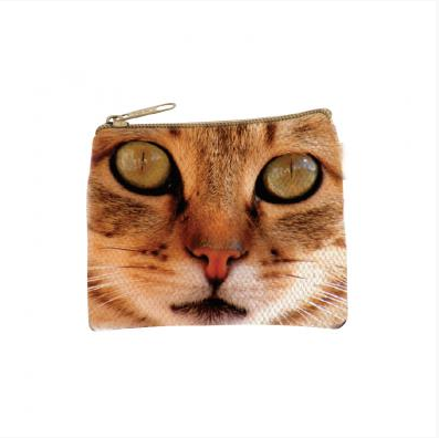 Benjamin - Cats Focus Eyes Coin Purse