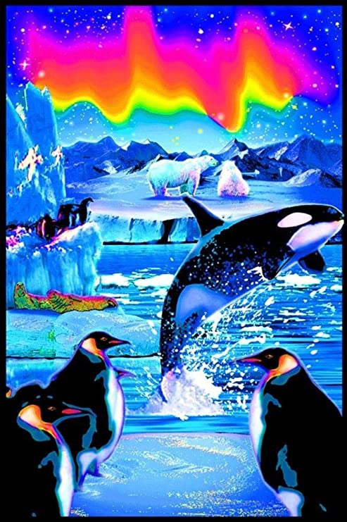 Blacklight Poster- Arctic Aurora- BL1 A1