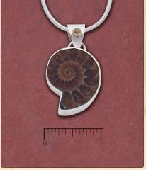 Tidepool - Ammolite w/Peridot & Sterling Silver Pendant on Silk Cord